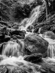 This picture was taken on the way to Tamina Schlucht near Bad Ragaz SG Switzerland
