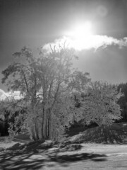 This picture was taken on Piz Alun Graubünden Switzerland.
