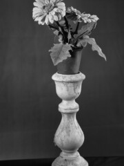 This was a studio light test from 2011. Original I have taken this picture on Agfa APX 100 analog BW Film