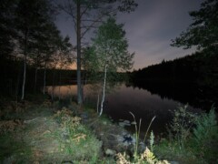 This picture was taken 2016 near a lake in Dalsland in Dals-Eds kommun in Sweden. This picture was taken 2016 near a lake in Dalsland in Dals-Eds kommun in Sweden.