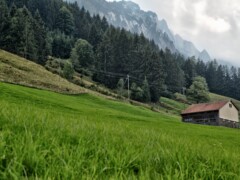 This was taken on a mc-tour in Appenzell AI/AR Switzerland. On the background is "Alpstein" This was taken on a mc-tour in Appenzell AI/AR Switzerland. On the background is "Alpstein"